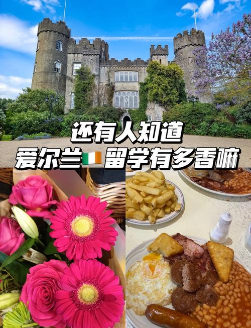 爱尔兰留学︱都柏林城市大学 爱尔兰留学︱都柏林城市大学