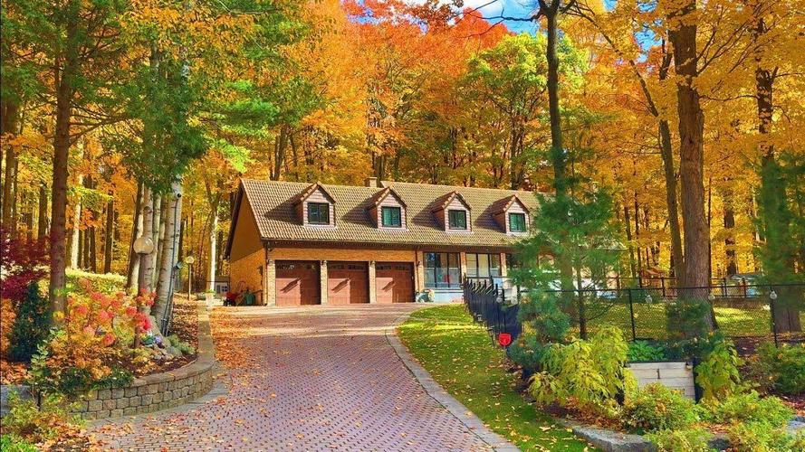 移民加拿大以后,可以继续回国生活或者工作吗?