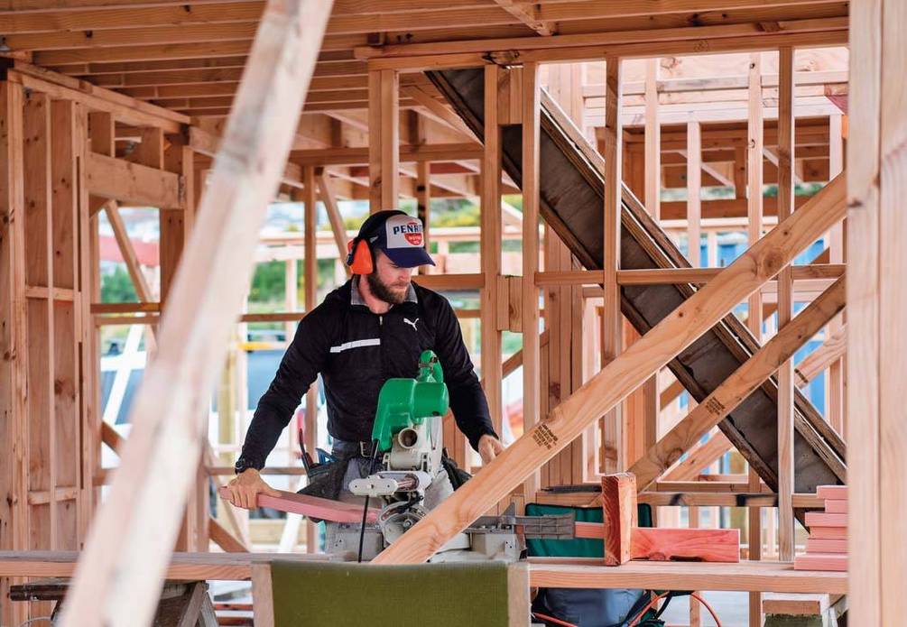 新西兰的工作签证要几天能办下来