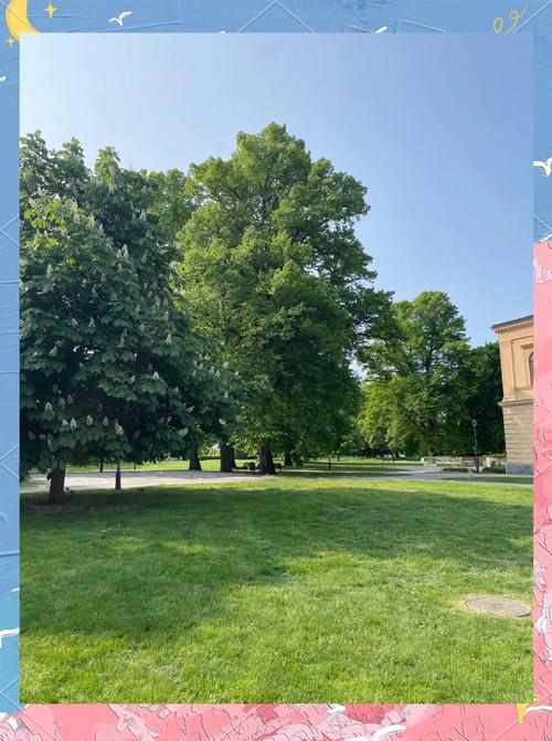 留学瑞典的利弊是什么?