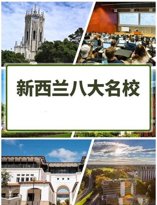 干货| 国内大专毕业生去新西兰留学如何选择? 干货| 国内大专毕业生去新西兰留学如何选择?