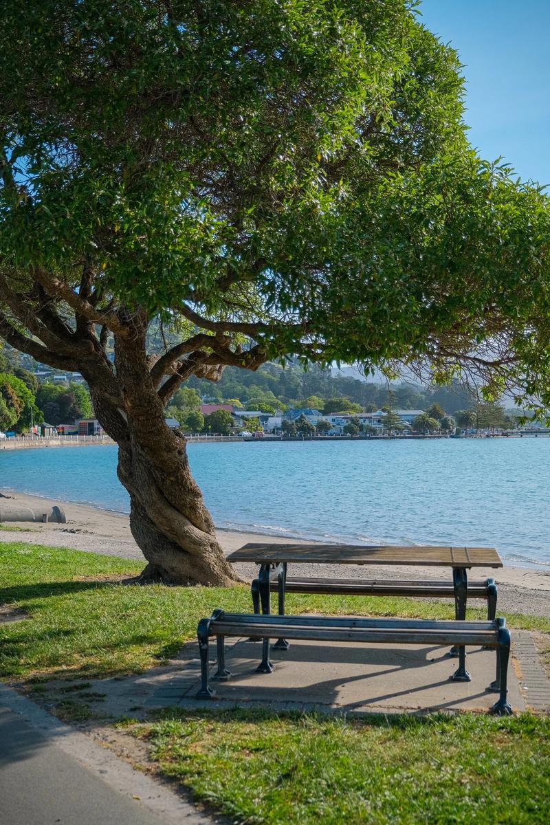 干货| 国内大专毕业生去新西兰留学如何选择? 干货| 国内大专毕业生去新西兰留学如何选择?