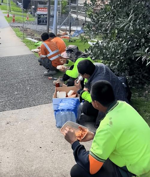 新西兰出国务工需要什么条件 新西兰出国务工需要什么条件