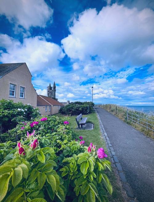 为什么不建议去英国 为什么不建议去英国