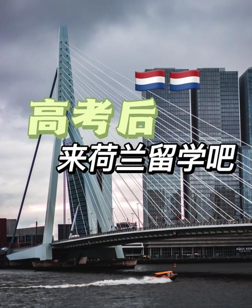 高中、大专、本科在读生,如何申请荷兰本科?