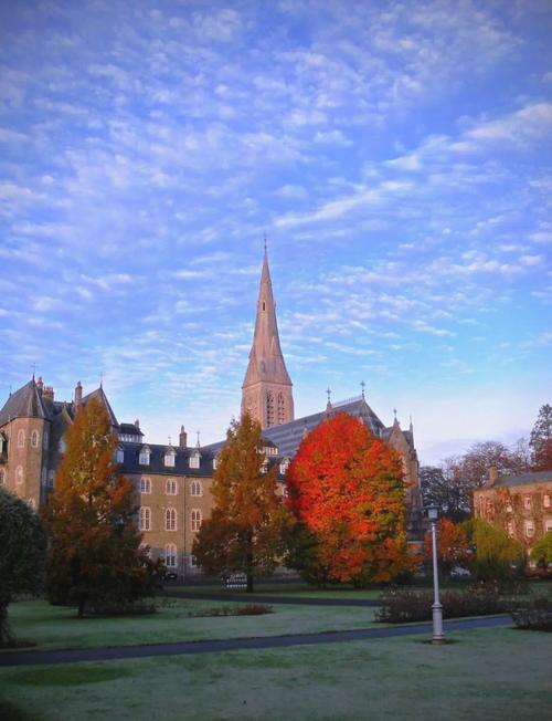 世界500强扎堆!留学爱尔兰就业不用愁! 世界500强扎堆!留学爱尔兰就业不用愁!