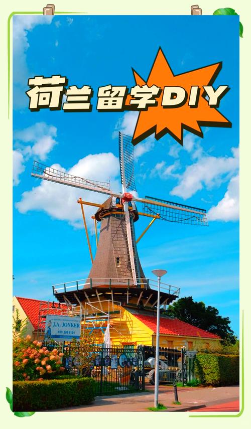 荷兰留学需要什么语言要求