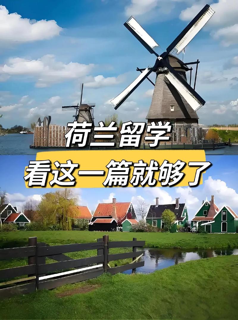 荷兰留学需要什么语言要求