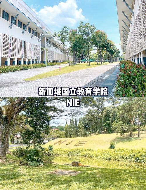 为什么不建议去新加坡留学